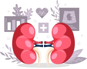 Kidney Disease